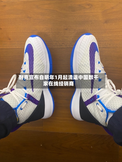 耐克宣布自明年1月起清退中国数千家在线经销商-第2张图片