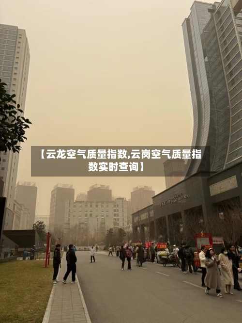 【云龙空气质量指数,云岗空气质量指数实时查询】