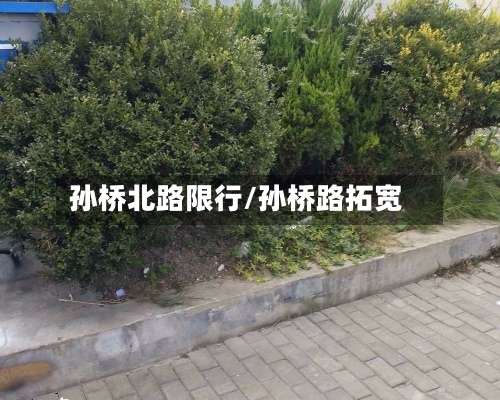 孙桥北路限行/孙桥路拓宽