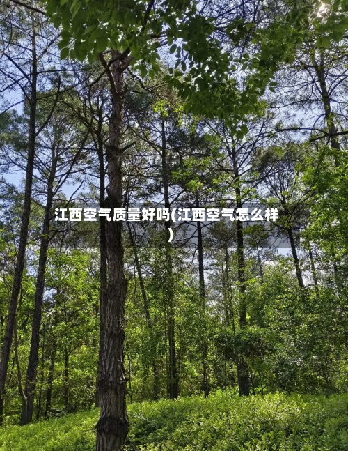 江西空气质量好吗(江西空气怎么样)-第2张图片