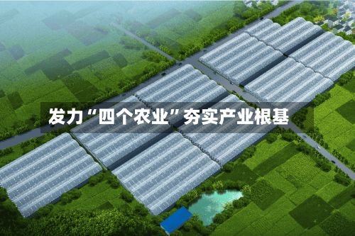 发力“四个农业”夯实产业根基-第3张图片