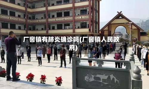 厂窖镇有肺炎确诊吗(厂窖镇人民政府)