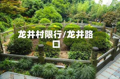 龙井村限行/龙井路口