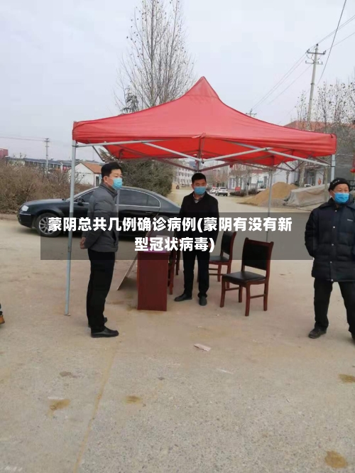 蒙阴总共几例确诊病例(蒙阴有没有新型冠状病毒)-第2张图片
