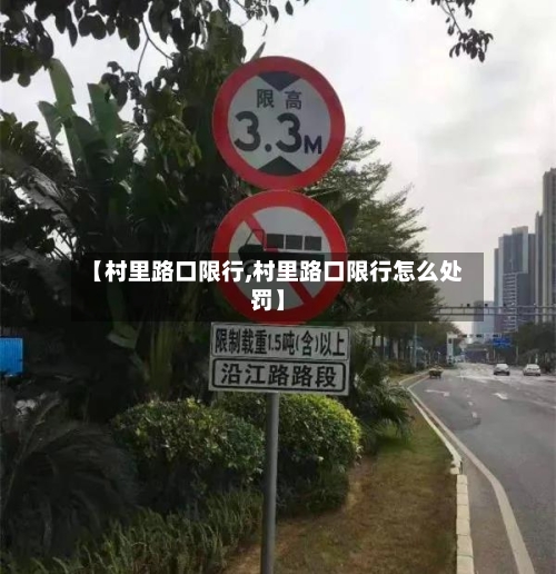 【村里路口限行,村里路口限行怎么处罚】