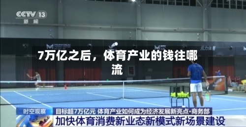 7万亿之后	，体育产业的钱往哪流-第2张图片