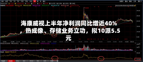 海康威视上半年净利润同比增近40%，热成像	、存储业务立功，拟10派5.5元-第2张图片