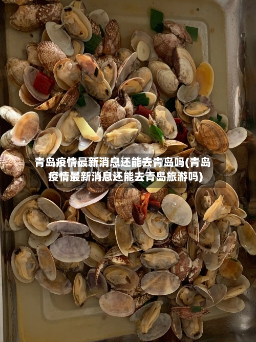 青岛疫情最新消息还能去青岛吗(青岛疫情最新消息还能去青岛旅游吗)
