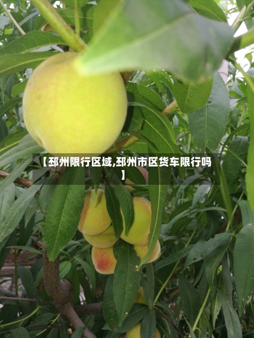 【邳州限行区域,邳州市区货车限行吗】
