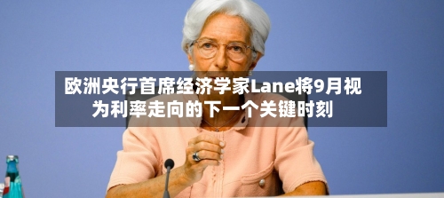 欧洲央行首席经济学家Lane将9月视为利率走向的下一个关键时刻-第3张图片