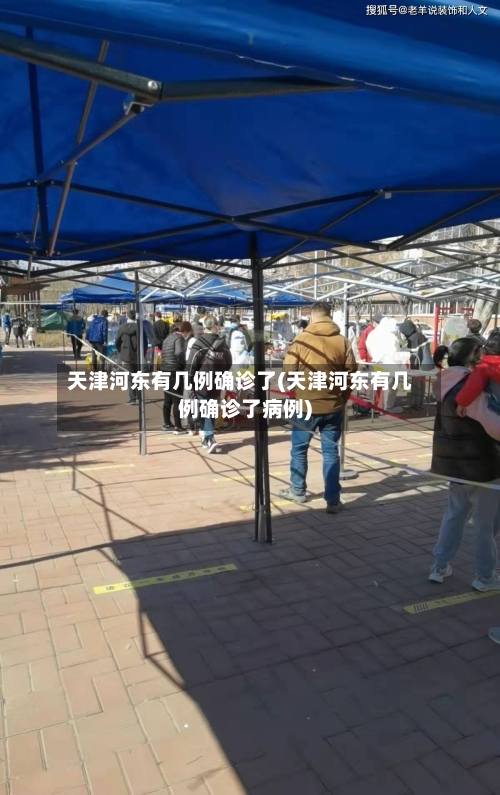 天津河东有几例确诊了(天津河东有几例确诊了病例)