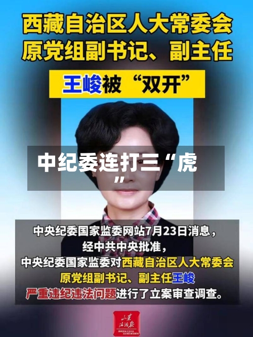 中纪委连打三“虎”-第3张图片