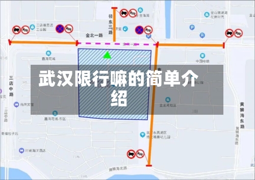 武汉限行嘛的简单介绍-第2张图片