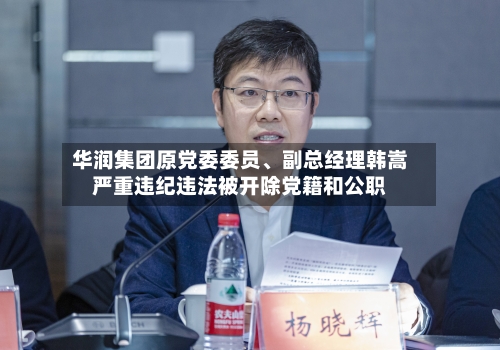 华润集团原党委委员、副总经理韩嵩严重违纪违法被开除党籍和公职-第2张图片