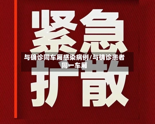与确诊同车厢感染病例/与确诊患者同一车厢-第2张图片