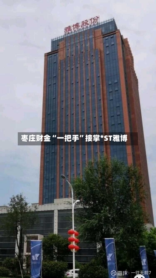 枣庄财金“一把手”接掌*ST雅博-第3张图片