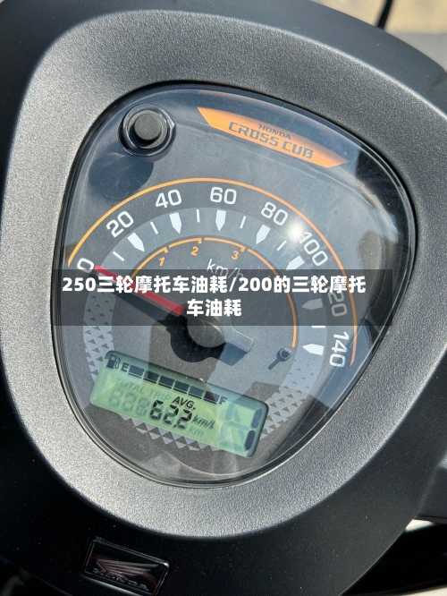 250三轮摩托车油耗/200的三轮摩托车油耗