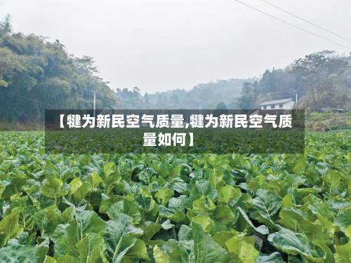 【犍为新民空气质量,犍为新民空气质量如何】-第2张图片