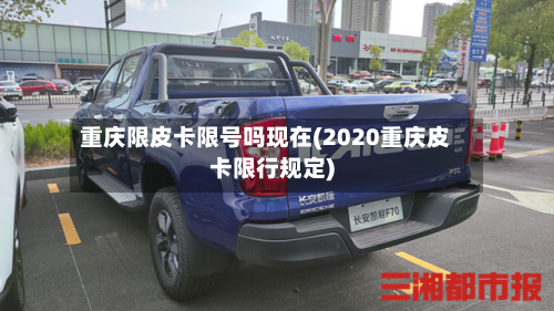 重庆限皮卡限号吗现在(2020重庆皮卡限行规定)-第2张图片