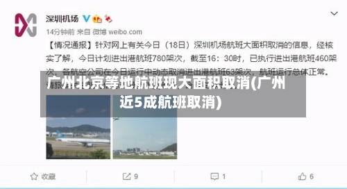 广州北京等地航班现大面积取消(广州近5成航班取消)-第2张图片