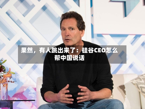 果然	，有人跳出来了：硅谷CEO怎么帮中国说话-第3张图片