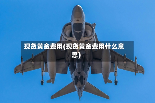 现货黄金费用(现货黄金费用什么意思)-第2张图片