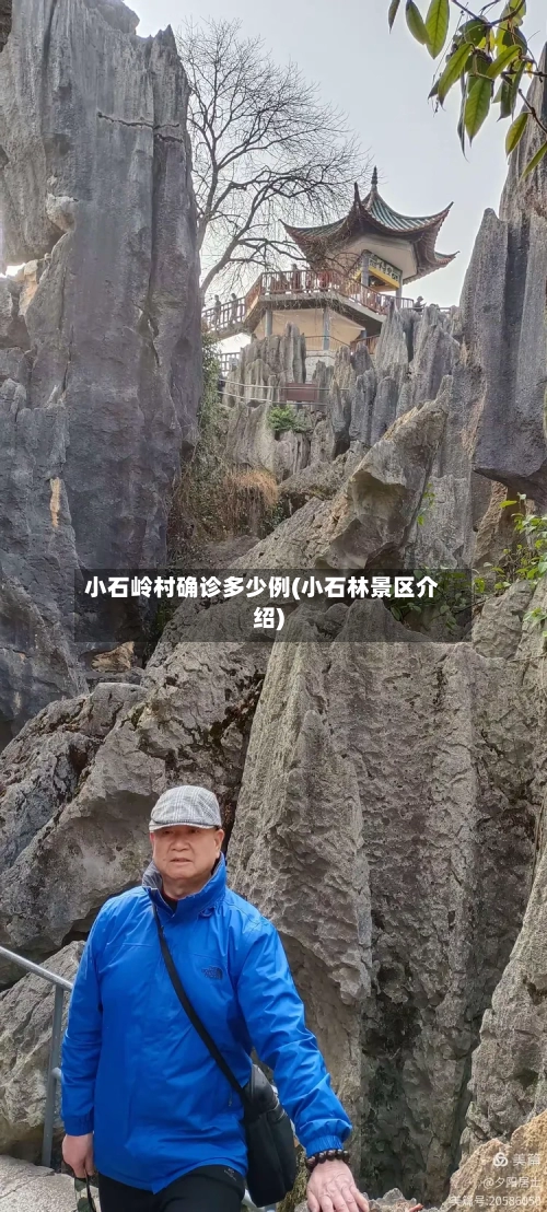 小石岭村确诊多少例(小石林景区介绍)-第2张图片