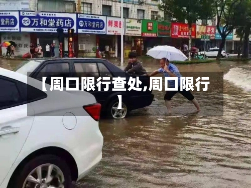 【周口限行查处,周囗限行】-第3张图片