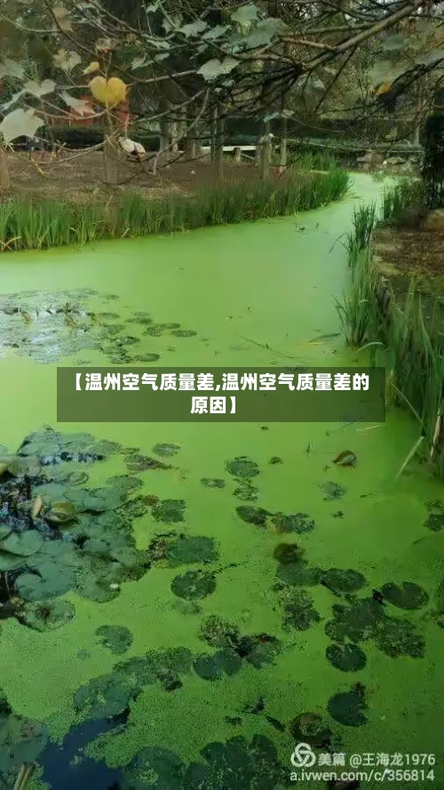 【温州空气质量差,温州空气质量差的原因】