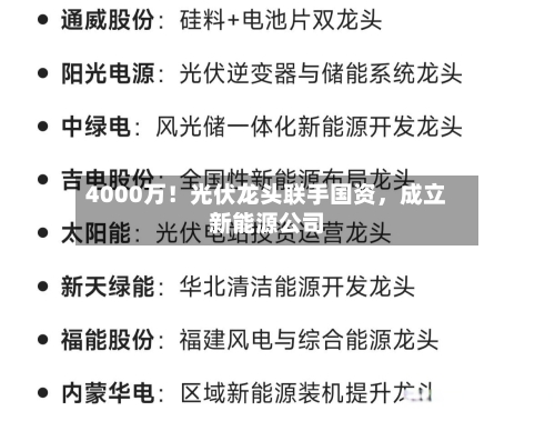 4000万！光伏龙头联手国资，成立新能源公司-第1张图片