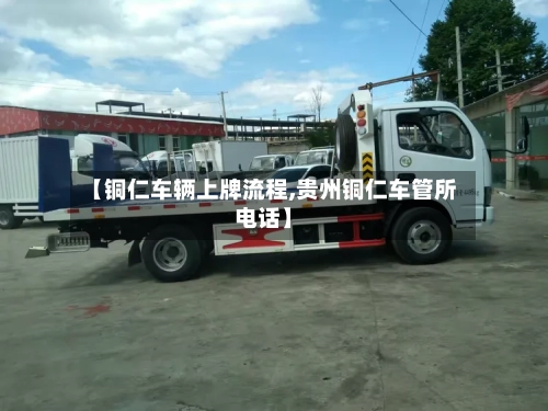 【铜仁车辆上牌流程,贵州铜仁车管所电话】