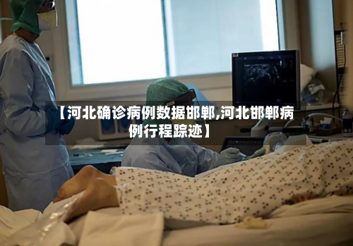 【河北确诊病例数据邯郸,河北邯郸病例行程踪迹】-第2张图片