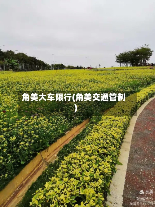 角美大车限行(角美交通管制)-第2张图片