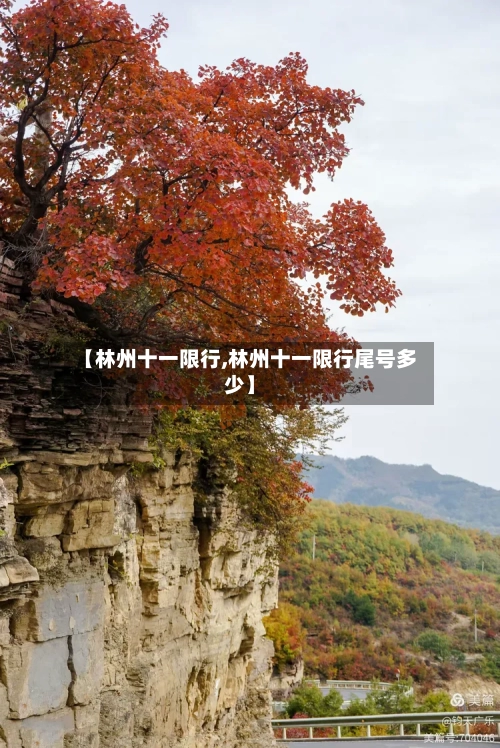 【林州十一限行,林州十一限行尾号多少】