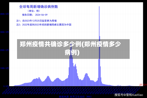 郑州疫情共确诊多少例(郑州疫情多少病例)