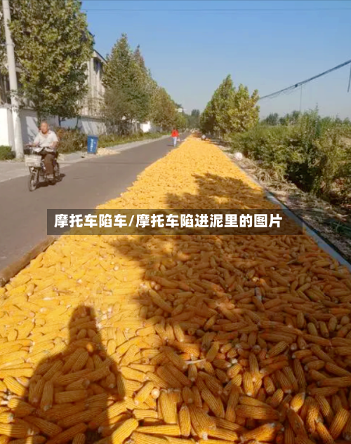 摩托车陷车/摩托车陷进泥里的图片-第2张图片