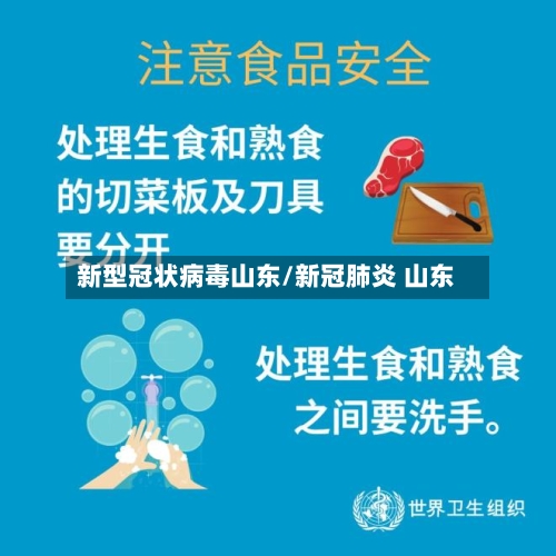 新型冠状病毒山东/新冠肺炎 山东-第3张图片