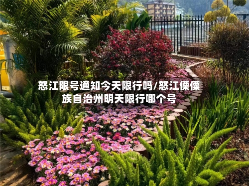 怒江限号通知今天限行吗/怒江傈僳族自治州明天限行哪个号