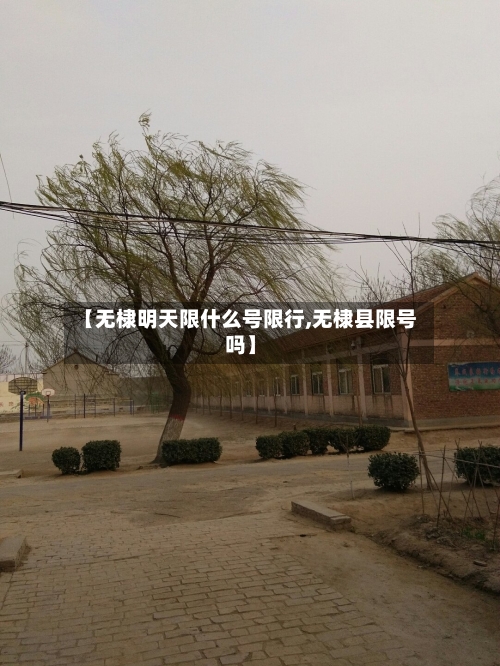 【无棣明天限什么号限行,无棣县限号吗】-第2张图片