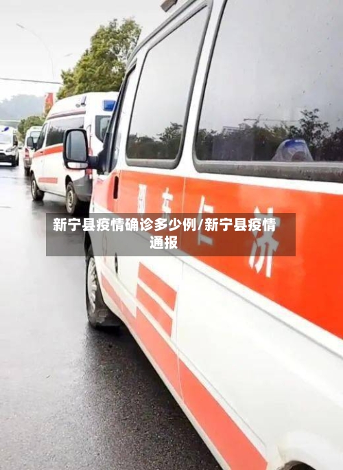 新宁县疫情确诊多少例/新宁县疫情通报-第2张图片