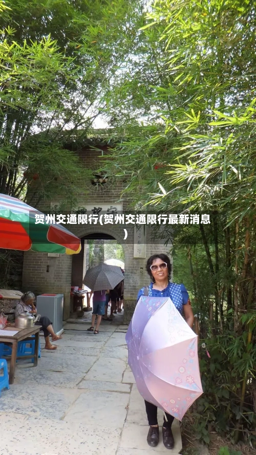贺州交通限行(贺州交通限行最新消息)