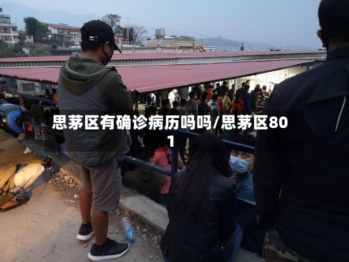 思茅区有确诊病历吗吗/思茅区801
