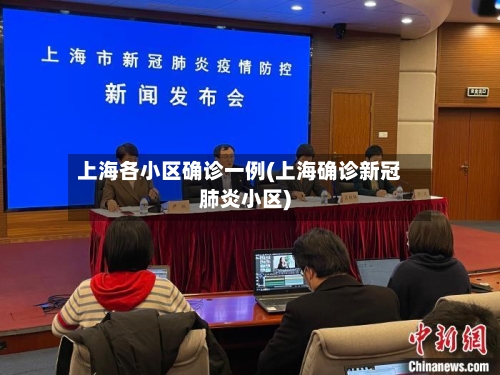 上海各小区确诊一例(上海确诊新冠肺炎小区)-第2张图片