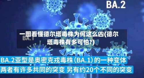 一图看懂德尔塔毒株为何这么凶(德尔塔毒株有多可怕?)-第3张图片