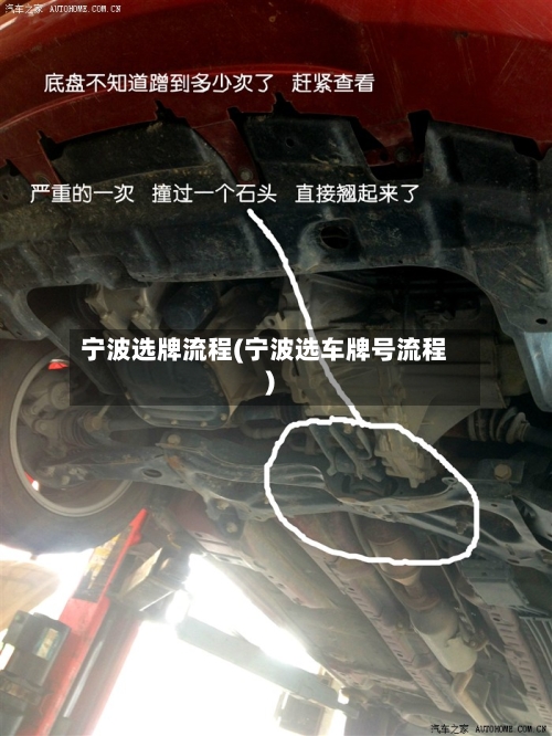 宁波选牌流程(宁波选车牌号流程)